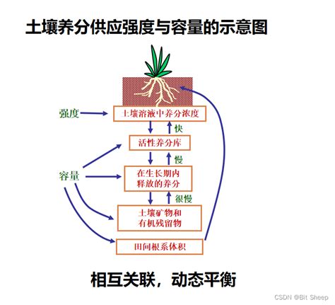 植物吸收重金屬|土壤中重金屬含量的變化 (二) 土壤中重金屬的移除及土地負荷量